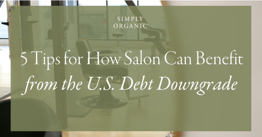 Debt Downgrade Blog Header