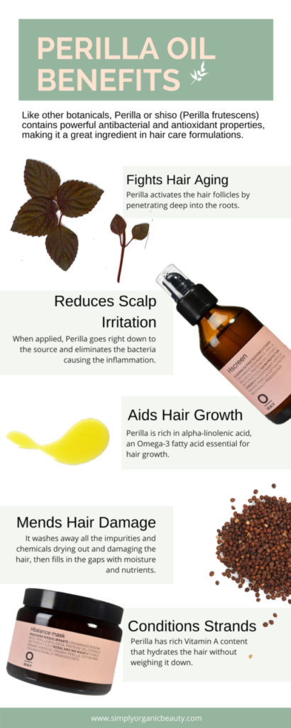 perilla-oil-benefits-a-powerful-asian-herb-for-healthy-hair-simply