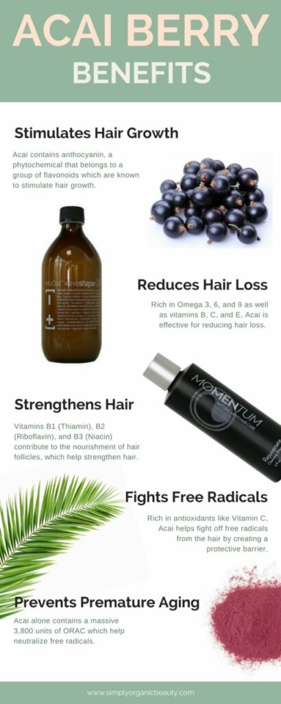 ACAI BERRY BENEFITS: The Amazon Superfood for the Hair - Simply Organics