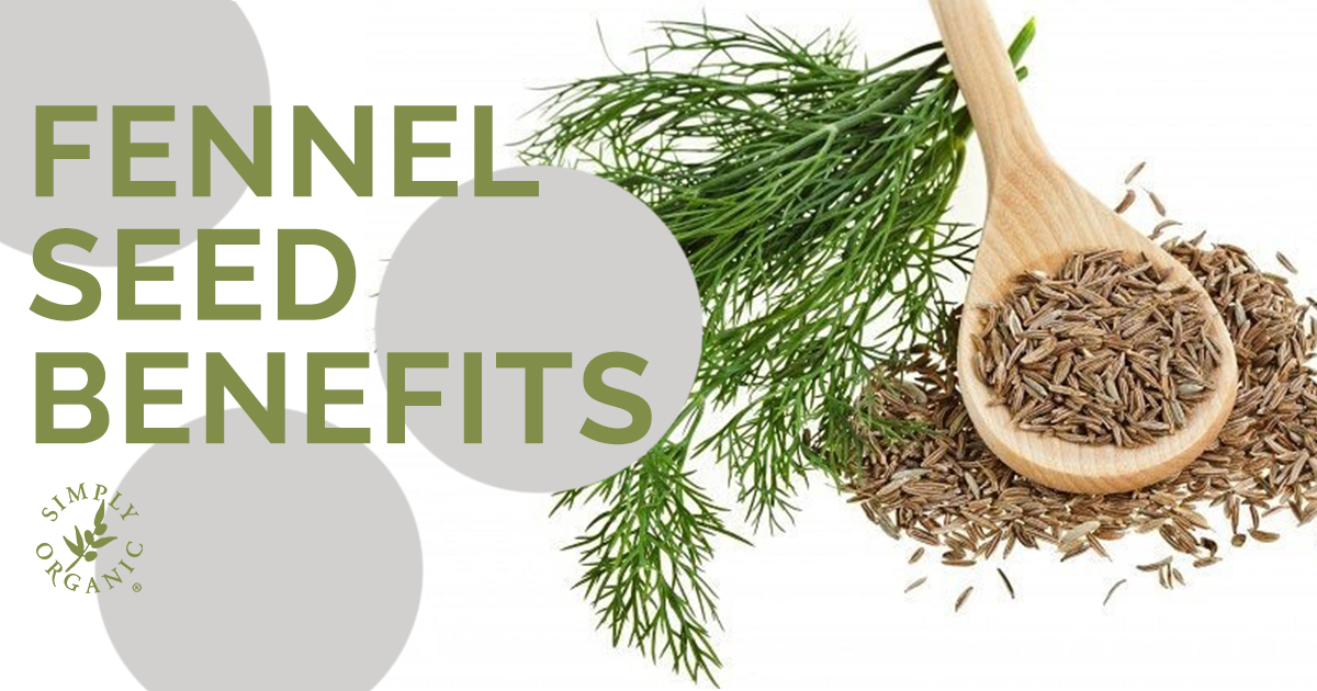 FENNEL SEED OIL BENEFITS The Beauty Hack To Healthy Hair Simply Organics