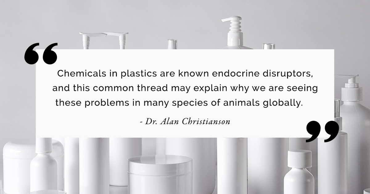 4 Harmful Endocrine Disruptors To Avoid In Beauty Products Simply Organic Beauty