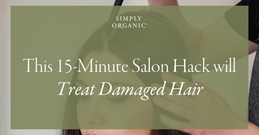 Damaged Hair Salon Hack Blog Header