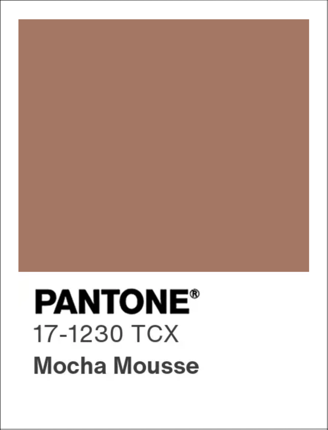 Mocha Mousse The 2025 Pantone Color of the Year and What It Means for